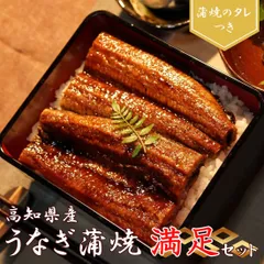 国産 うなぎ蒲焼き 満足セット 高知県産 高知産 鰻 うなぎ かば焼き ウナギ うな重 うな丼 たれ付 仁淀川 冷凍 ヤマト発送
