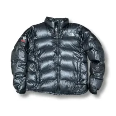 THE NORTH FACEサミットシリーズ 2004限定 0318/2000 POST JUNK / 00's THE NORTH FACE SUMMIT SERIES APEX ソフトシェル