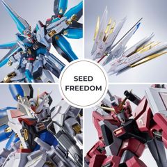 4点セット】 METAL ROBOT魂 SIDE MS ストライクフリーダム