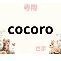専用