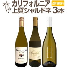 テールドシエル ル・オワゾ 2023 赤 日本ワイン 750ml - メルカリ