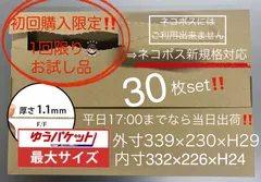 ✨お一人1回限り✨ お試し30枚セット🔹ジッパー付き段ボール箱 🔹ゆうパケット最大🔹Ａ4スッポリサイズ🔹【平日17時までなら当日出荷】