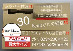 🔹30枚セット🔹ジッパー付き段ボール箱 🔹ﾈｺﾎﾟｽゆうパケット最大🔹Ａ4スッポリサイズ🔹【平日17時までなら当日出荷】