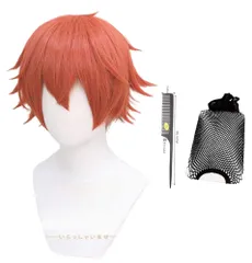 2025年最新】エース・トラッポラ ウィッグの人気アイテム - メルカリ