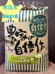 数量限定 厳選米 千葉県いすみ市産 コシヒカリ 無洗米 10kg 5kg×2