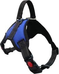 Item thumbnail for item 3987b298-6aca-4942-9bbc-253a6b6274fe