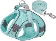 Item thumbnail for item 4651b753-9ffe-473a-a352-6489fcd08ba6