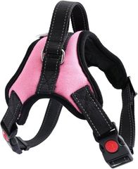 Item thumbnail for item 0069ebea-fa7f-40eb-b4b3-cff192d39a4f