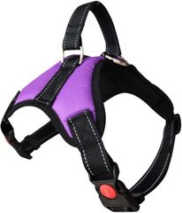 Item thumbnail for item 5681c59e-ee22-4530-8dfc-2ff18ab8f977