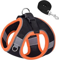 Item thumbnail for item 1ba48553-7f15-4f0c-89a4-a5219ec631f7