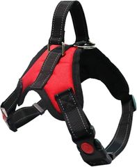 Item thumbnail for item cf709ca9-84e3-44be-954c-ea3cf71ce261