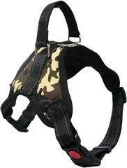 Item thumbnail for item 2fe9d681-cd9f-4477-a10a-2a1ca42c5383