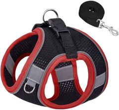 Item thumbnail for item d92af7f5-be90-48ea-a7e5-40e456dfcb0a