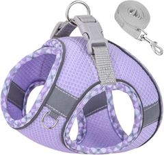 Item thumbnail for item 88729109-742f-477e-998d-38f9e3c127a2