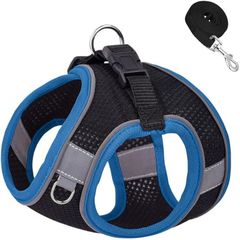 Item thumbnail for item 7f892b80-93ca-4808-9f33-47706e508daf