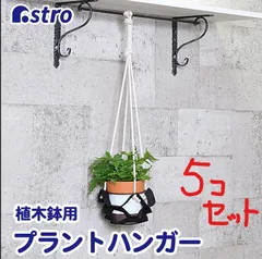アストロ公式 お買得！ 5個セット ガーデニンググッズ 観葉植物用 多肉植物 ランタン プランターハンガー 植物ハンガーネット 植木鉢 吊り下げ ハンキングバスケット 園芸 家庭菜園 ガーデニング ガーデン 家庭菜園 野菜 アストロ ネコポス 520-51