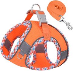 Item thumbnail for item f4629faf-dfd1-4f55-8e29-5a04c39aa099