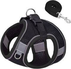 Item thumbnail for item ff4d32e3-b55e-4db3-ba16-33c619974051