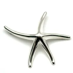 ティファニー　スターフィッシュブローチ　シルバー925 TIFFANY&Co. ティファニー ブローチ スターフィッシュ シルバー925