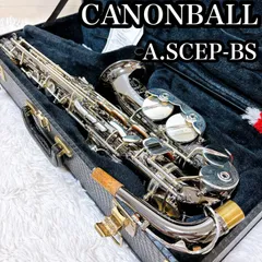 2026年最新】CANNON サックスの人気アイテム - メルカリ