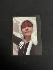 アンドチーム ニコラス ゆきあかり ふわふわアニマル プレサトレカ