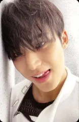 【中古】コレクションカード(男性) SEVENTEEN/MINGYU(ミンギュ)/裏面グレー/CD「Face the Sun」(ep.2 Shadow)封入特典フォトカード