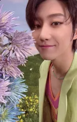 【中古】コレクションカード(男性) SEVENTEEN/THE 8(ディエイト)/裏面黄/CD「SECTOR 17」(COMPACT Ver.)封入特典フォトカード