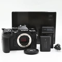 極上品】超稀少美品 長岡製作所 NAGAOKA SEISAKUSHO 暗箱 暗幕 木製