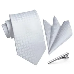 【新品】 [HISDERN] フォーマル シルバー ネクタイ チーフ セット メンズ 結婚式 ネクタイ 3点セット 紳士用 入学式 卒業式 プレゼント A3-01 1