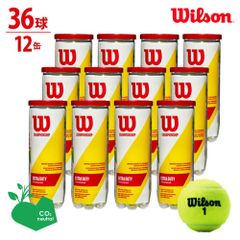 Wilson Federer フェデラー ウィルソンテニスボール 4個入 4缶 Wilson Federer フェデラー ウィルソンテニスボール 4個入 4缶 - メルカリ