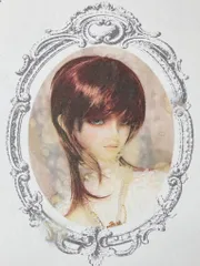 2025年最新】ドールウィッグ モヘアの人気アイテム - メルカリ