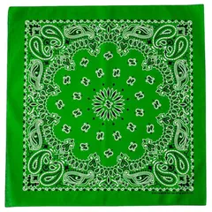 [ハバハンク] MADE IN USA 55cm×55cm ペイズリー ヴィンテージ バンダナ スカーフ ハンカチ アメリカ製 ＜グリーン 2枚＞ 1