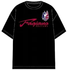ファジアーノ岡山　非売品応援Tシャツ　2枚　サイズO ファジアーノ岡山 非売品応援Tシャツ 2枚 サイズO ファジアーノ岡山