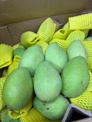 ベトナム産グリーンマンゴー約1kg（常温発送） - メルカリ