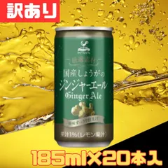 訳あり 神戸居留地 厳選素材 国産生姜のジンジャーエール 缶 炭酸飲料 185ml×20本入 ソフトドリンク お得 格安 爆買 まとめ買い 1ケース【北海道/沖縄/離島発送不可】のサムネイル