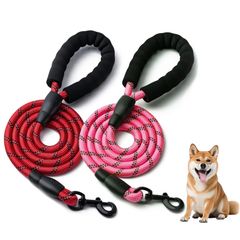 Item thumbnail for item 39fa1183-edb9-4ccd-8120-f4a22e32784f