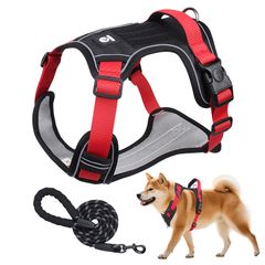 Item thumbnail for item e75287f4-420f-4438-a48b-0f067233bb1a