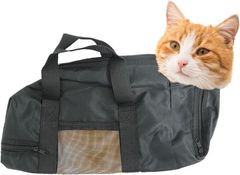 Item thumbnail for item e3e95470-dfee-49c9-9dcf-50fa05b0652d