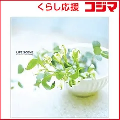 【 新品 未開封 】 ナカバヤシ フエルアルバムＤｉｇｉｏ ライフシーン （ブルー） LPF‐1001‐B 未使用 送料無料のサムネイル
