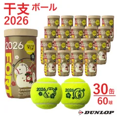 2025年最新】dunlop fort 30 缶の人気アイテム - メルカリ