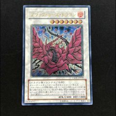 PSA10】ブラッキー YU NAGABA プロモ 開封済み PROMO 067/SV-P - メルカリ