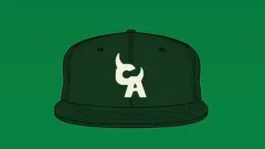 タイラーザクリエイター キャップ Tyler The Creator グリーン タイラーザクリエイター キャップ Tyler The Creator グリーン