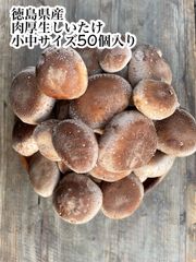 チチタケ　信州産　campbox様 チチタケ 信州産 campbox様 - メルカリ