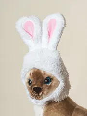 ペット用 犬 猫 ウサギ 帽子 被り物