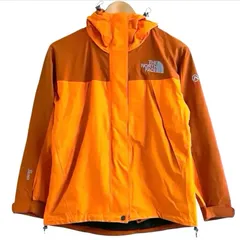 THE NORTH FACE ザ・ノースフェイス MOUNTAIN JACKET マウンテンジャケット GORE-TEX ゴアテックス SUMMIT SERIES サミットシリーズ NPW15600 レディース S