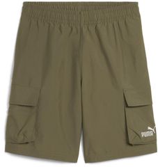 Item thumbnail for item a103501a-5295-40cf-8917-a4021cb1fc43