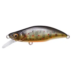 2025年最新】メガバス TYPE-Xの人気アイテム - メルカリ