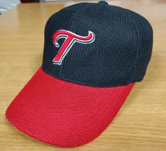 MLB ニューヨークヤンキース　ツインズエンタープライズ　ベースボールキャップ 59FIFTY ニューエラ ニューヨーク・ヤンキース ベースボール キャップ