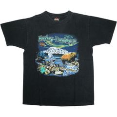 RHAPSODY / DRAGONFLAME Tシャツ（00s）ラプソディー - メルカリ