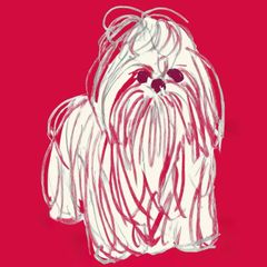 【Red Line - シーズー犬 No.3】ジークレー版画＊名入れOK！ アートポスター、ペットロス、北欧モダン、ミニマルインテリア、カフェスタイル